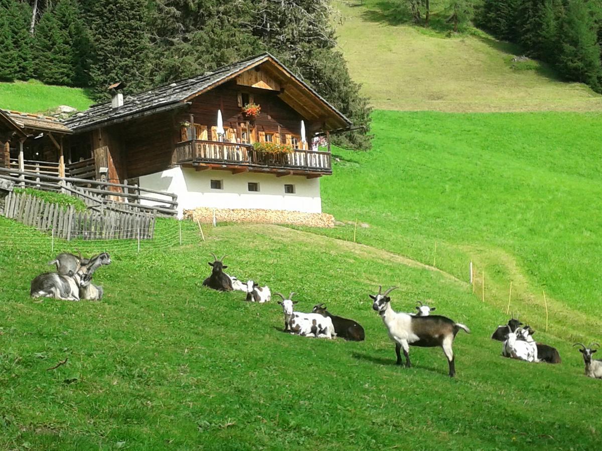 Hotel Poernbacher Olang Extérieur photo